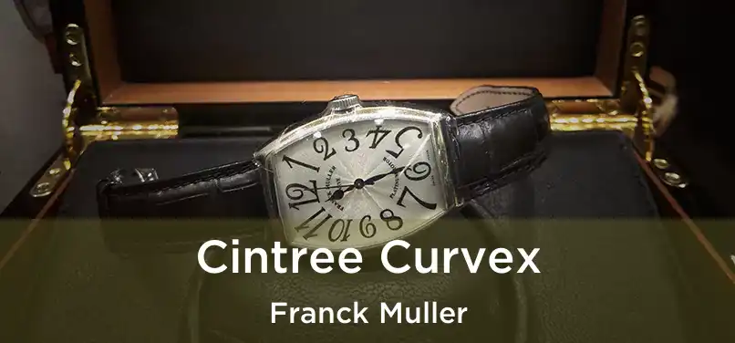  Cintree Curvex Franck Muller