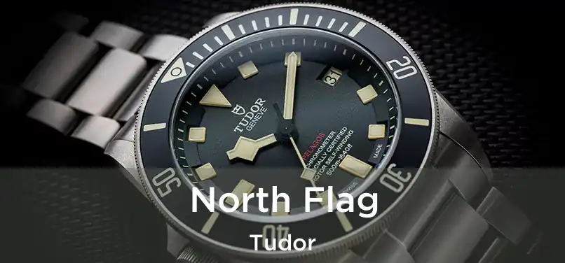  North Flag Tudor
